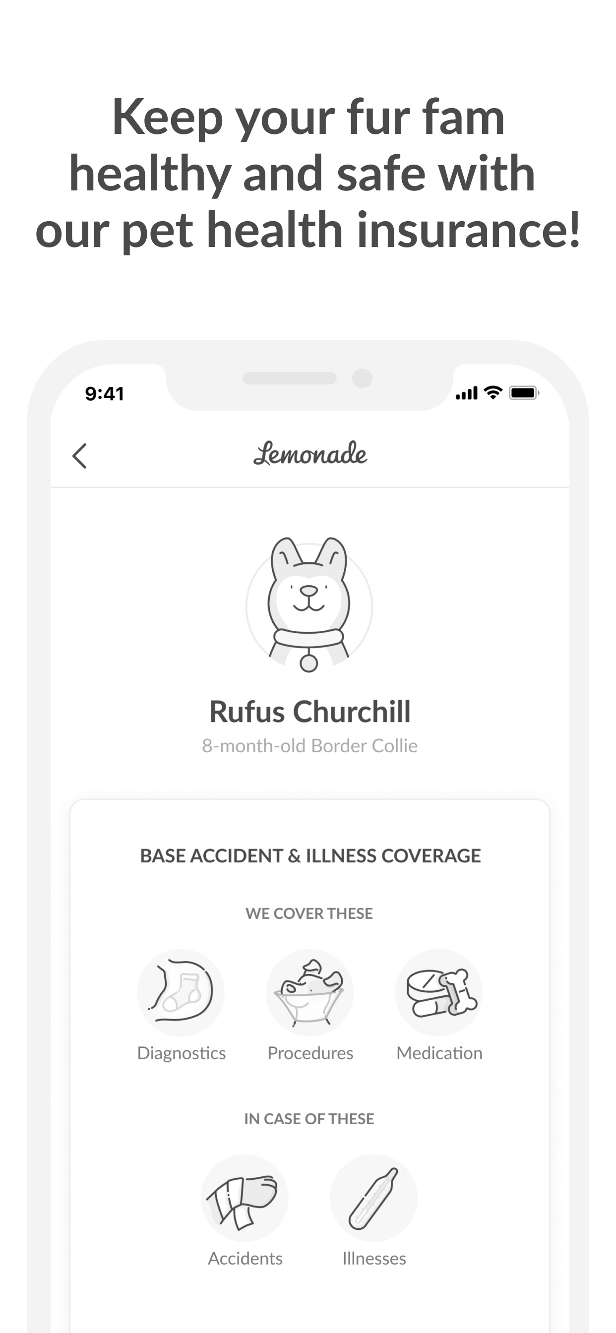Lemonade Insurance App Store screenshot 5: Keep your fur fam healthy and safe with our pet health insurance!