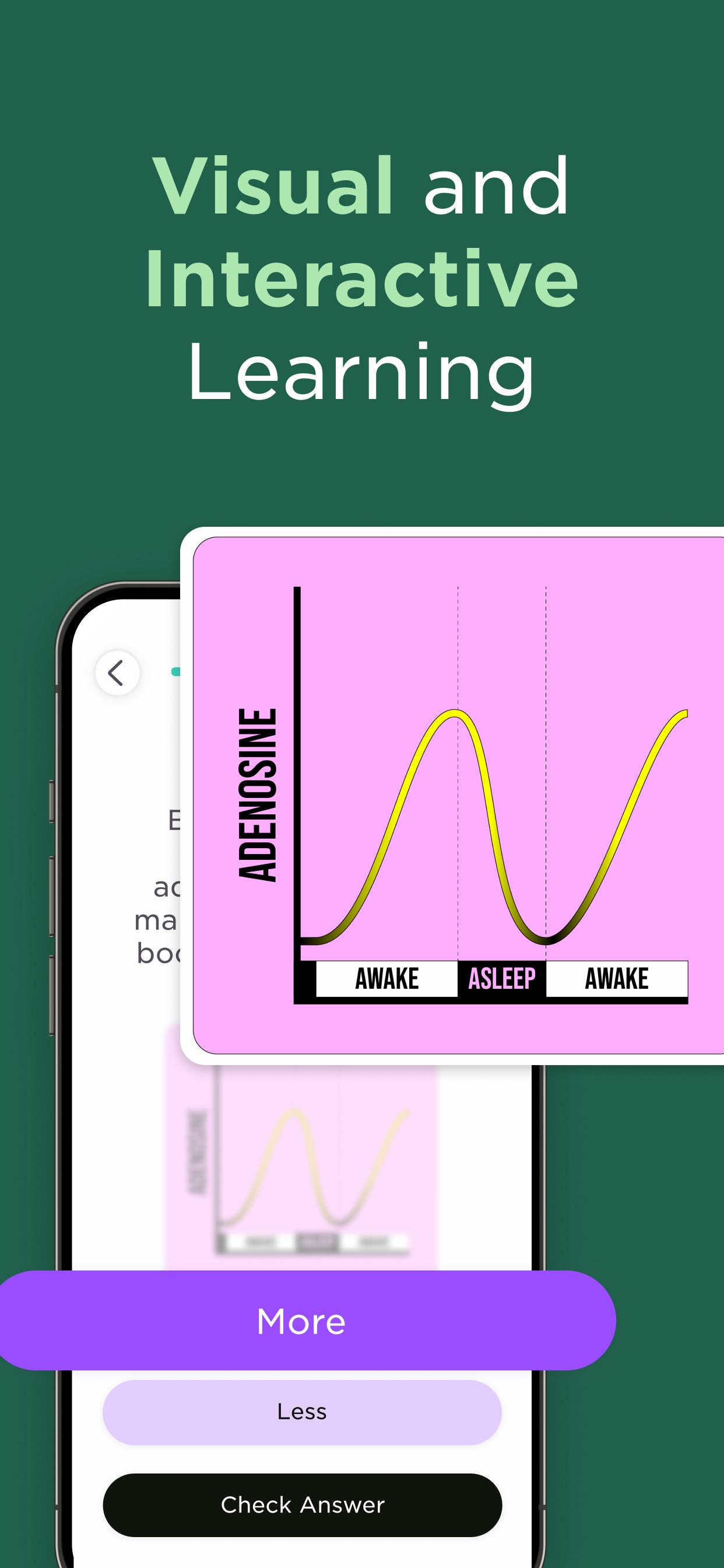 Imprint App Store screenshot: Visual and Interactive Learning