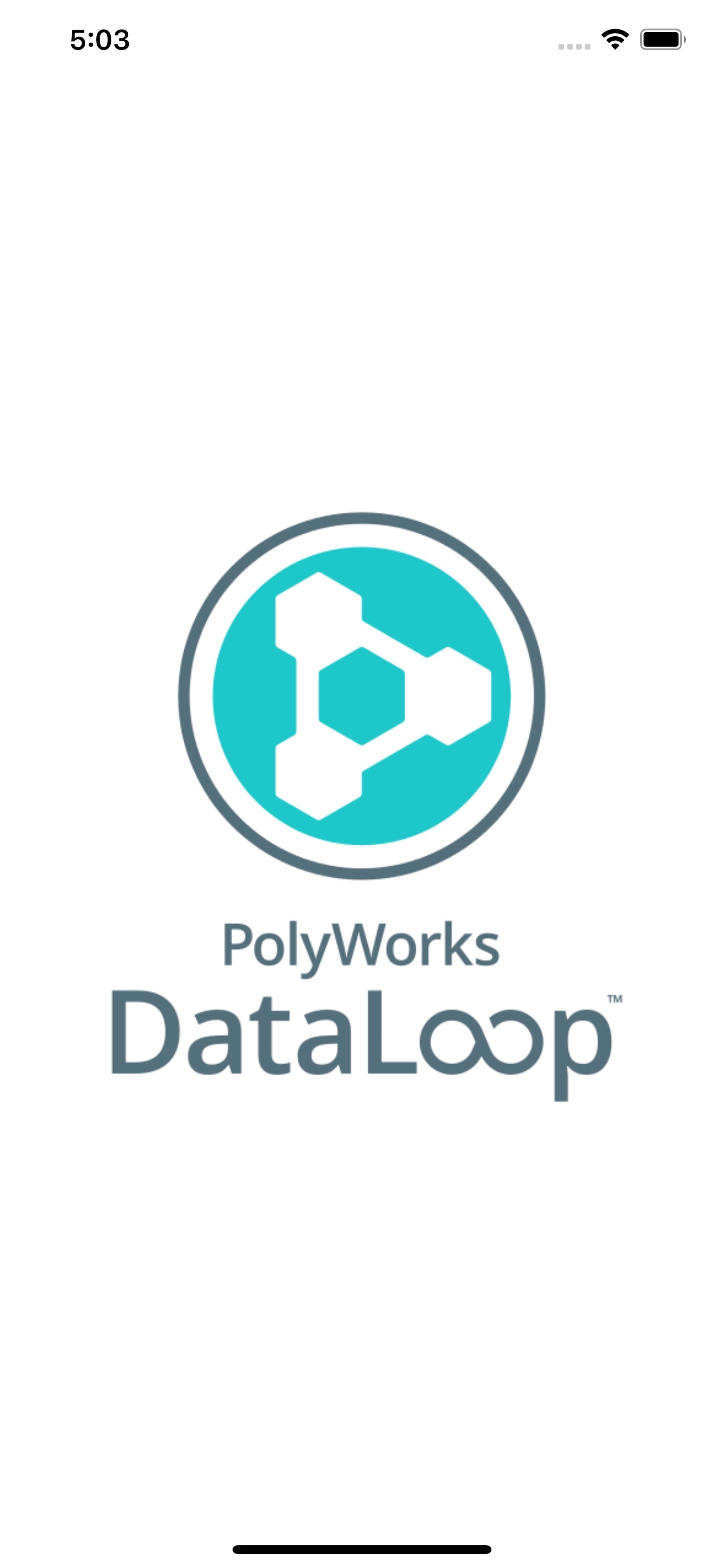 Polywork App Store screenshot: listing design