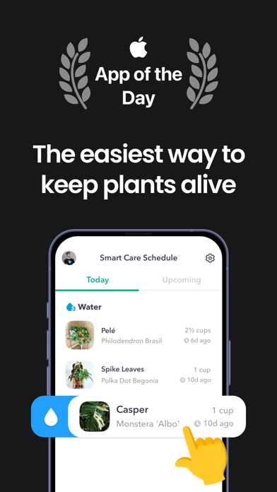 Greg App Store screenshot: listing design