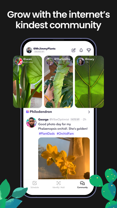 Greg App Store screenshot 6: Grow with the internet’s kindest community