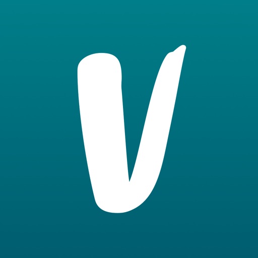 Vinted icon
