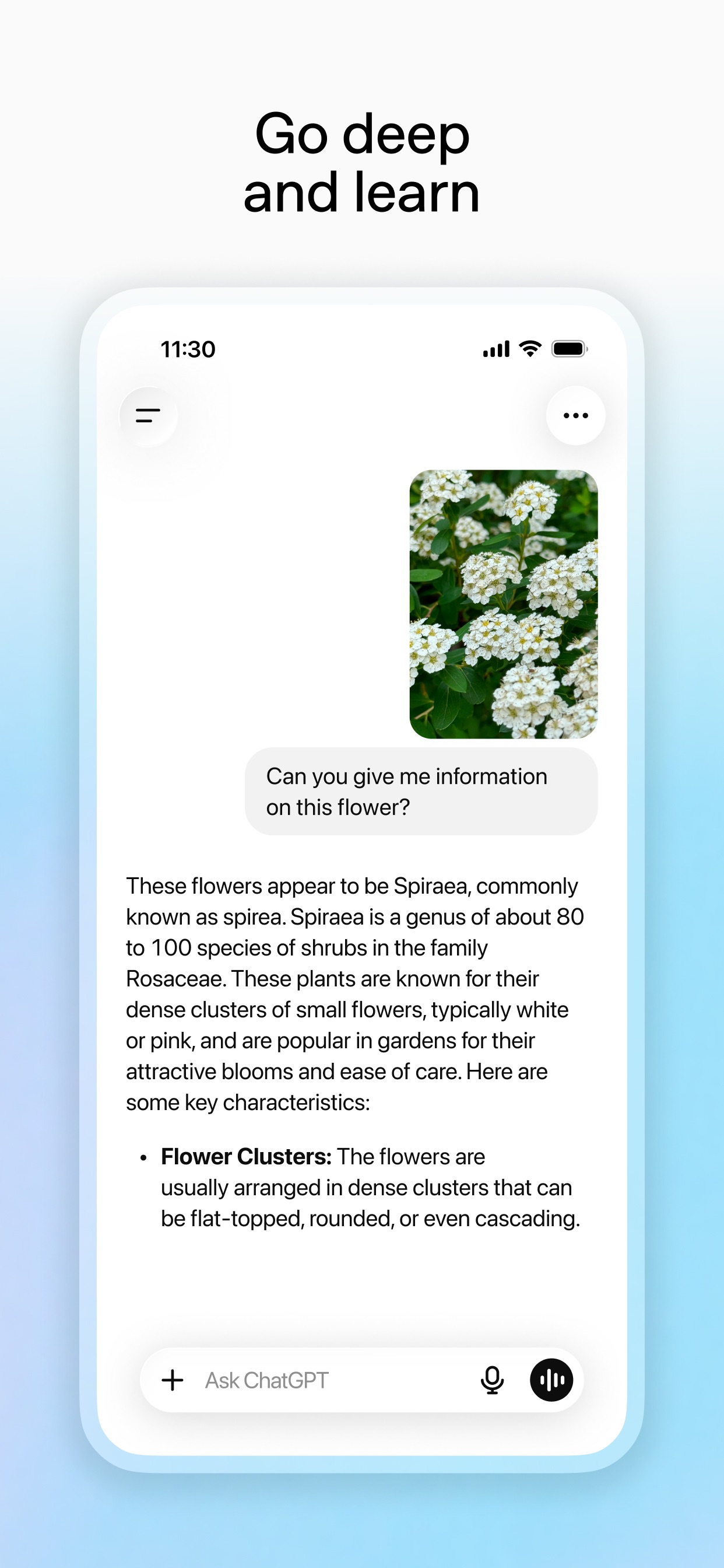ChatGPT App Store screenshot 6: Go deep and learn