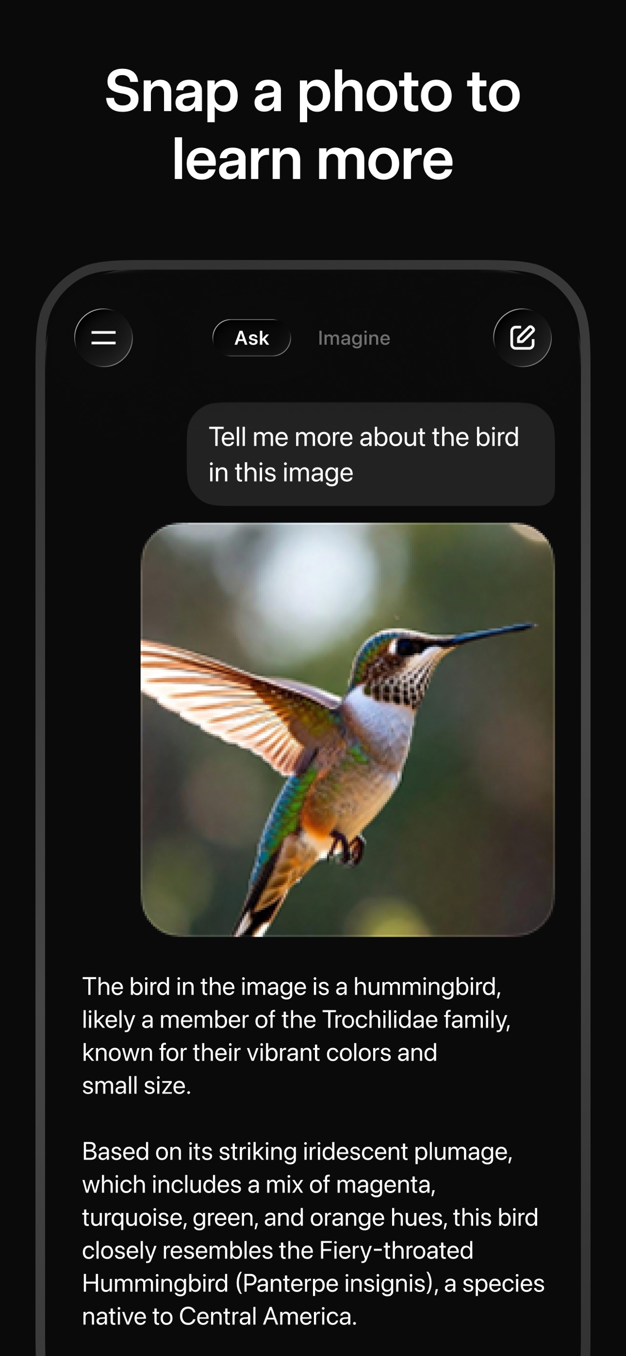 Grok App Store screenshot 8: Snap a photo to learn more