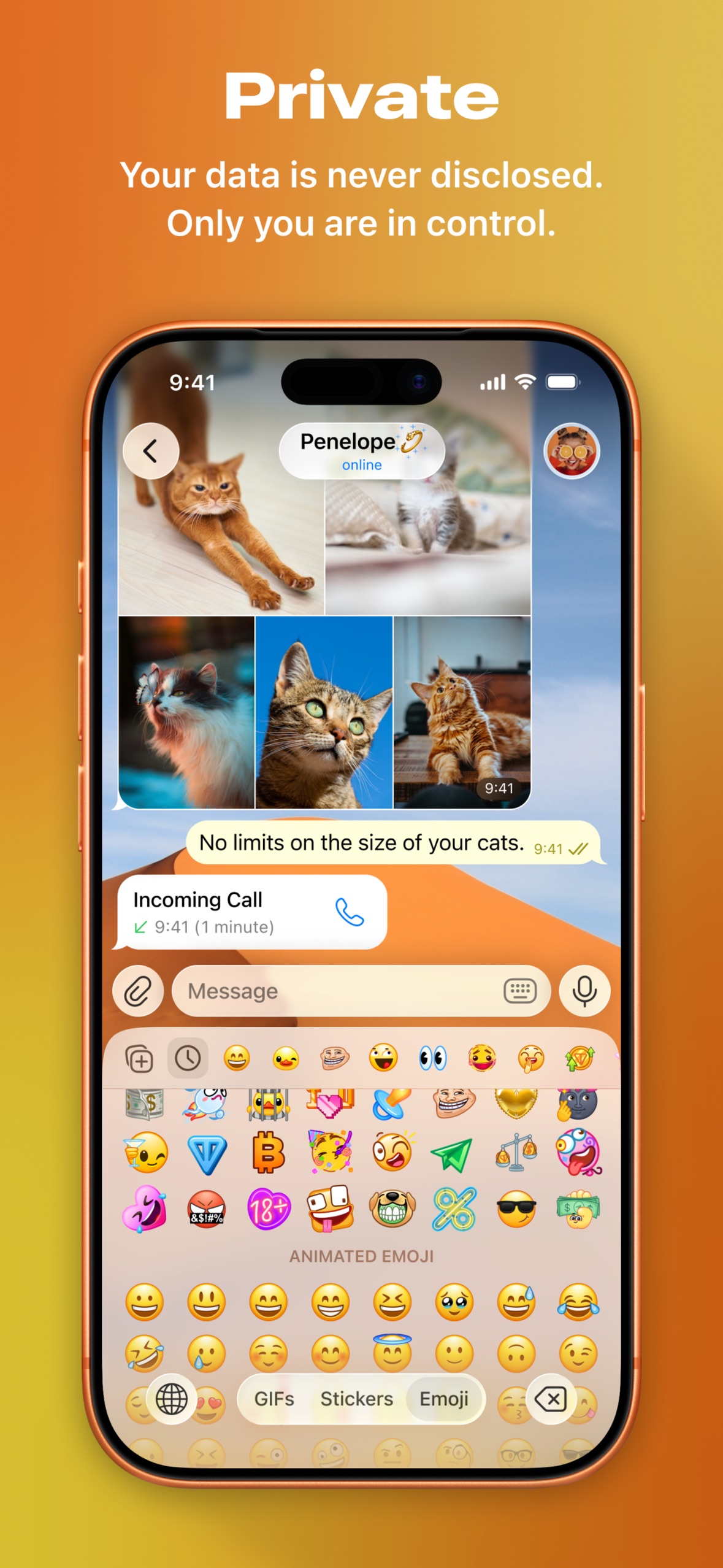 Telegram App Store screenshot: Private
Your data is never disclosed. Only you are in control.